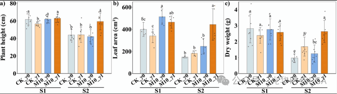 植物根际促生菌（PGPR）与γ-PGA联合施用缓解盐碱胁迫，促进作物生长
